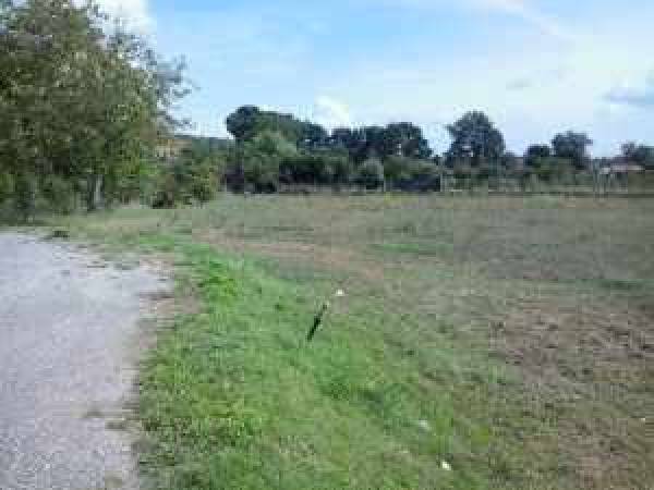 terreno agricolo in vendita a San Giustino
