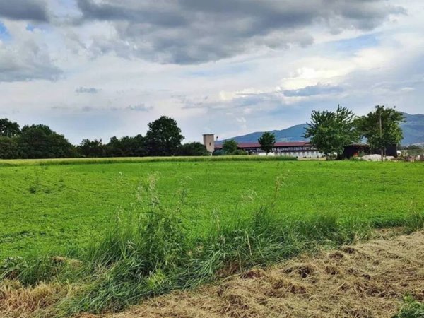 terreno edificabile in vendita a San Giustino in zona Selci/Lama