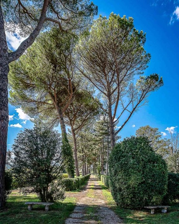 casa indipendente in vendita a San Giustino