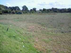 terreno agricolo in vendita a San Giustino
