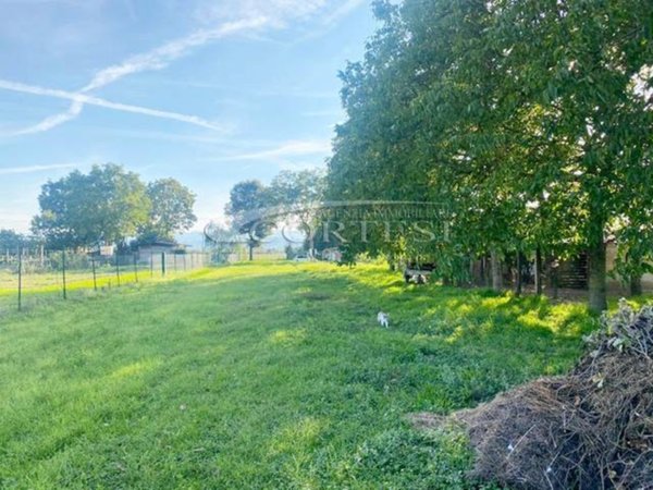 terreno agricolo in vendita a San Giustino