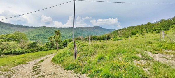 terreno agricolo in vendita a San Giustino