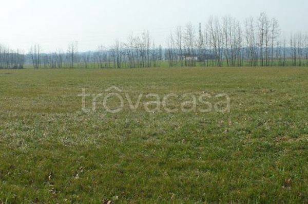terreno agricolo in vendita a San Giustino