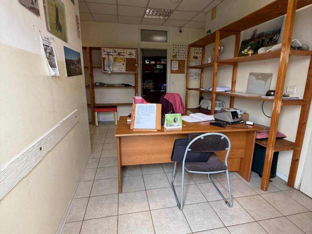 negozio in vendita a San Giustino
