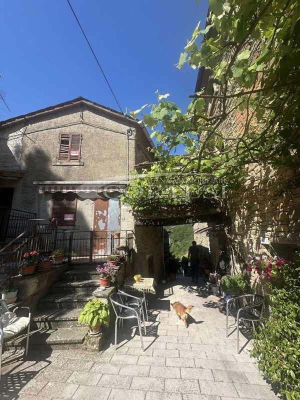 esavano in vendita a San Giustino in zona Selci/Lama