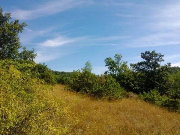 casa indipendente in vendita a Sant'Anatolia di Narco in zona Grotti