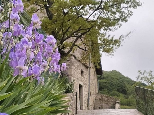 casa indipendente in vendita a Sant'Anatolia di Narco in zona Gavelli