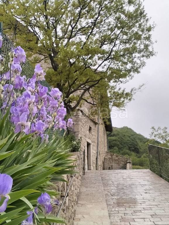 casa indipendente in vendita a Sant'Anatolia di Narco in zona Gavelli