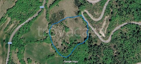 terreno agricolo in vendita a Sant'Anatolia di Narco in zona Castel San Felice