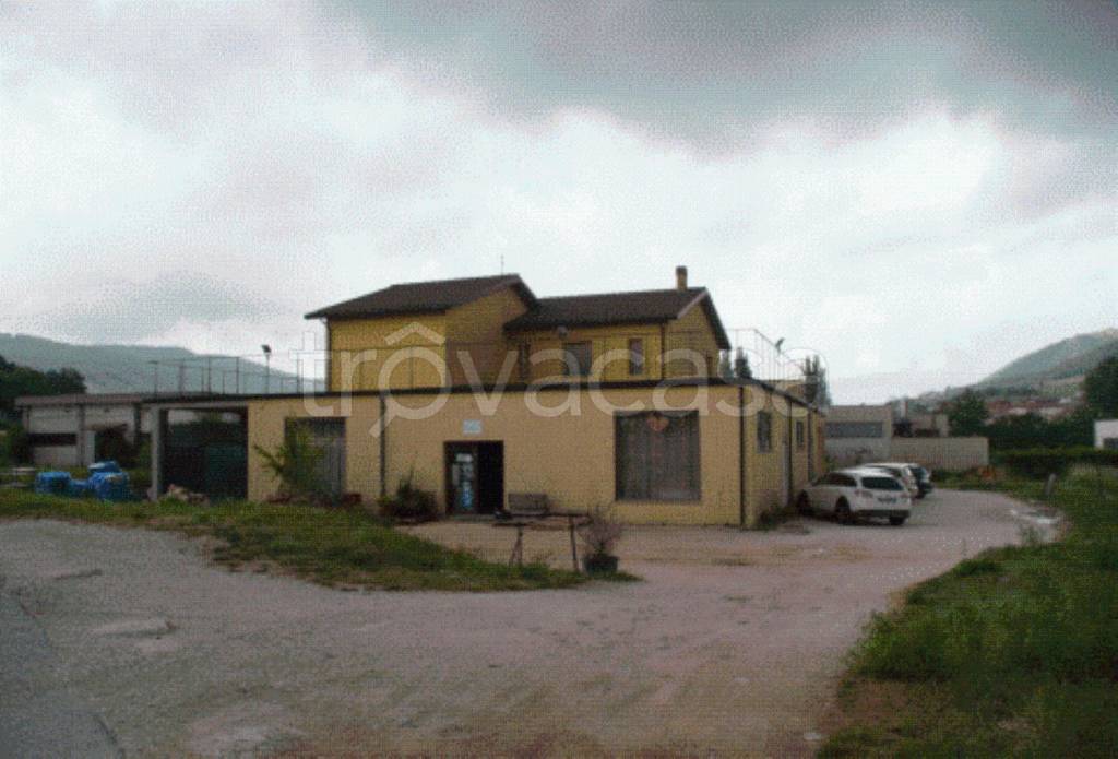 appartamento in vendita a Scheggia e Pascelupo