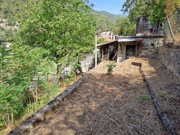 terreno agricolo in vendita a Scheggino