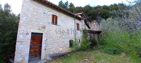 quadrivano in vendita a Scheggino