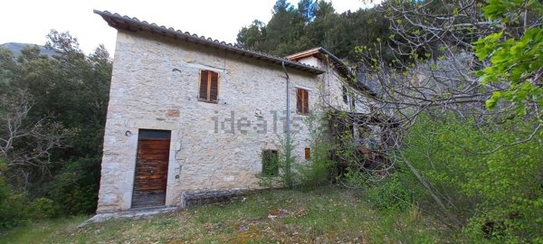 appartamento in vendita a Scheggino
