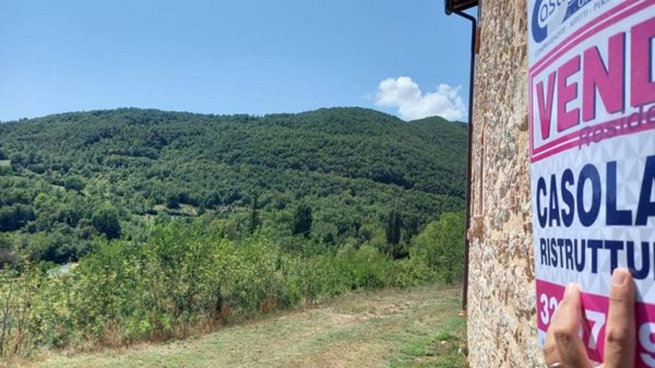 terreno agricolo in vendita a Sellano