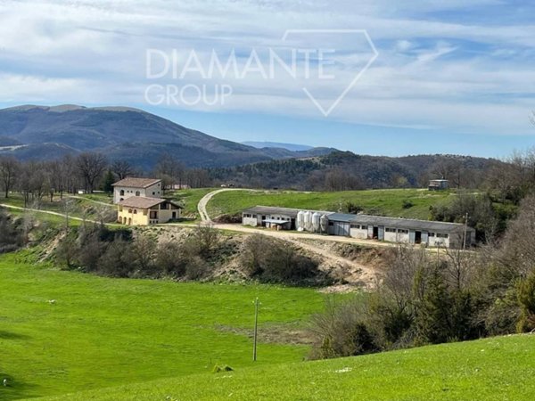 negozio in vendita a Sellano