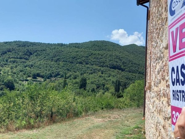 terreno agricolo in vendita a Sellano