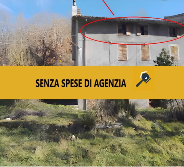 immagine annuncio 0 di 10