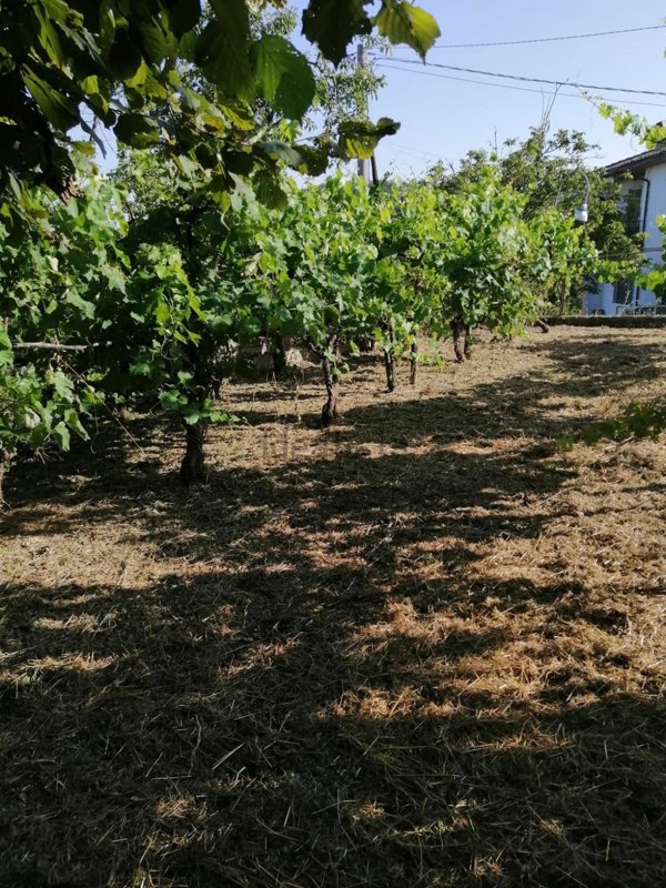 casa indipendente in vendita a Sellano