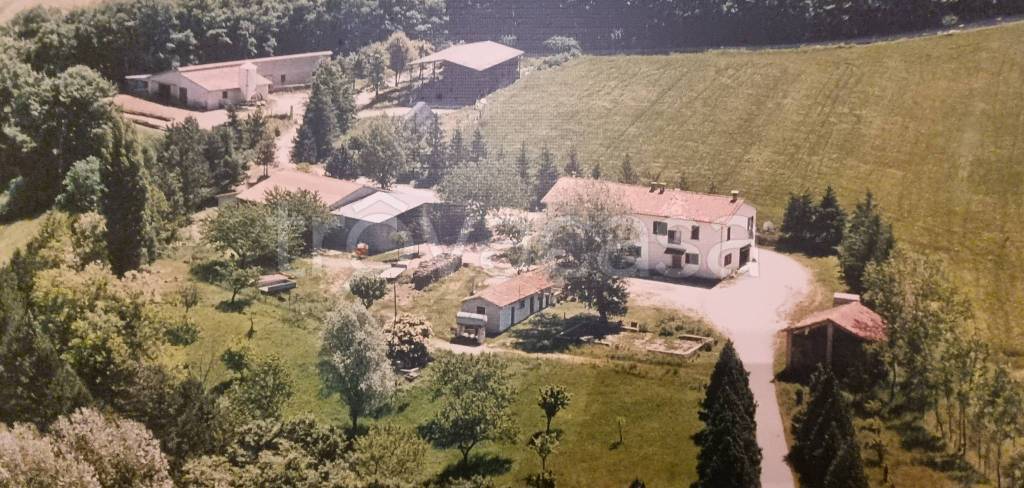negozio in vendita a Sigillo