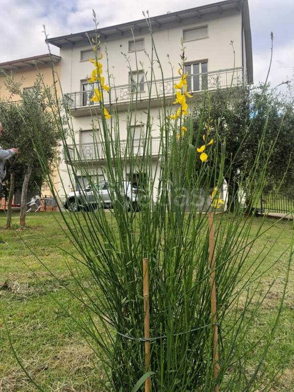 casa indipendente in vendita a Sigillo