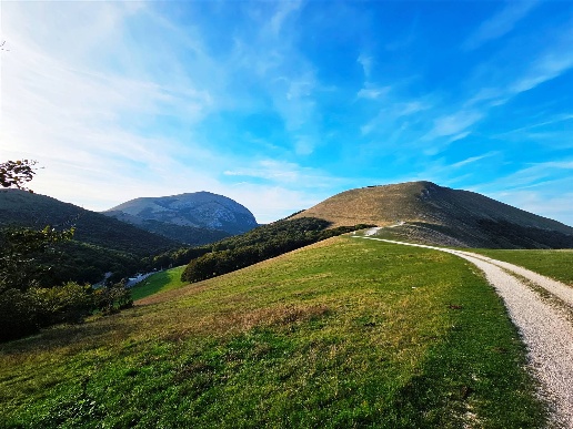 appartamento in vendita a Sigillo
