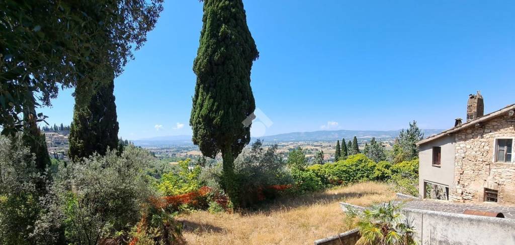 casa indipendente in vendita a Spello