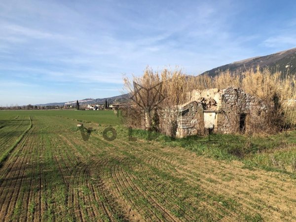 appartamento in vendita a Spello