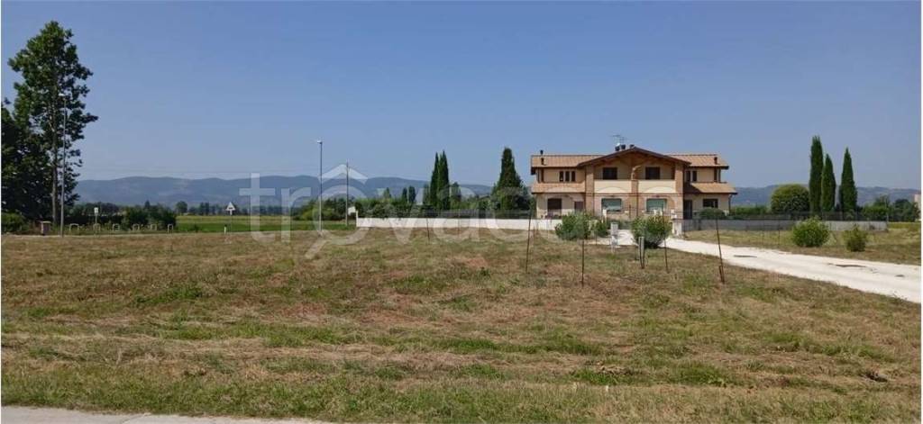 terreno agricolo in vendita a Spello in zona Limiti