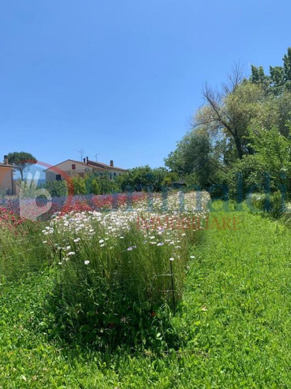 appartamento in vendita a Spello in zona Limiti
