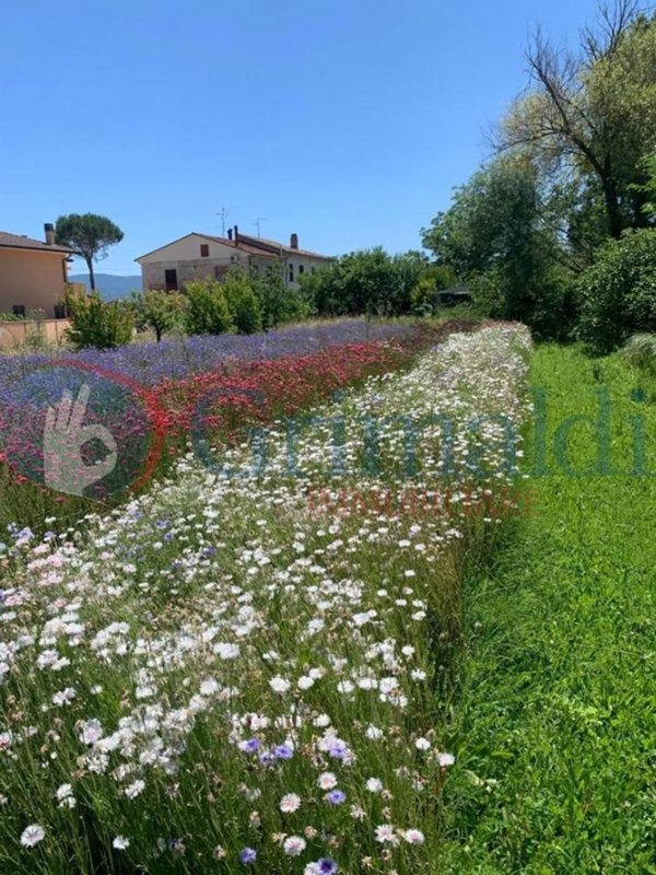 casa indipendente in vendita a Spello in zona Limiti