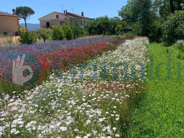 casa indipendente in vendita a Spello in zona Limiti