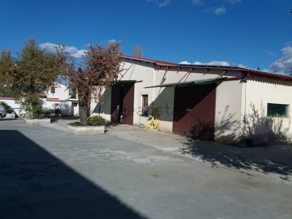 azienda agricola in vendita a Spello