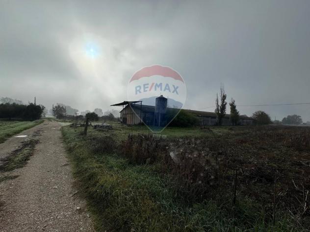 pentavano in vendita a Spello in zona Acquatino