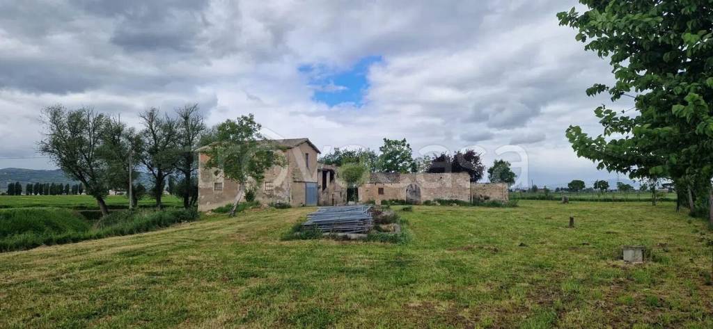 casa indipendente in vendita a Spello