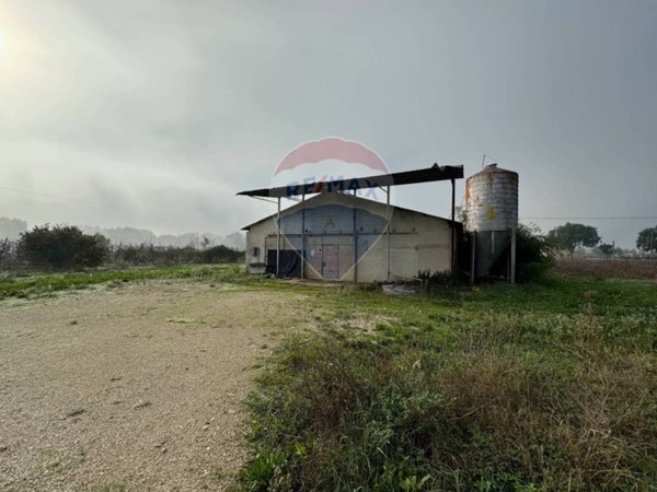 negozio in vendita a Spello in zona Acquatino