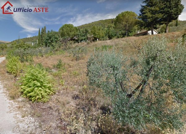 casa indipendente in vendita a Spello