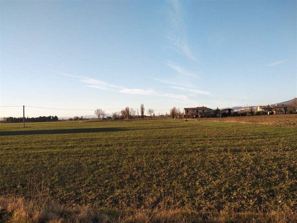 terreno agricolo in vendita a Spello in zona Acquatino