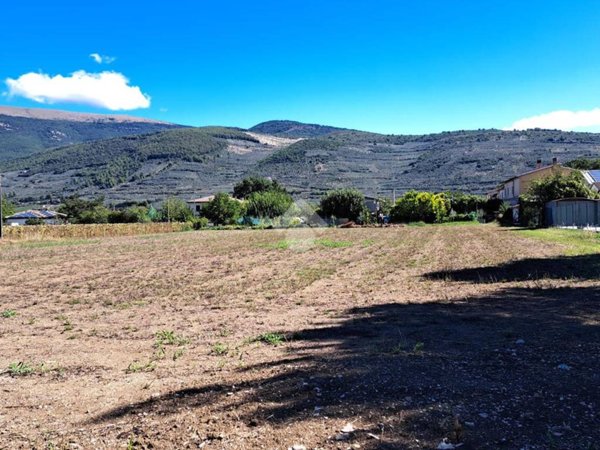terreno agricolo in vendita a Spello
