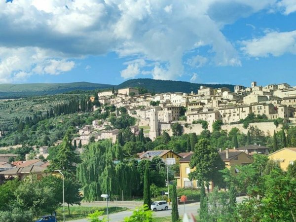 negozio in vendita a Spello