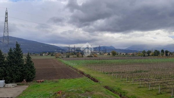 appartamento in vendita a Spello