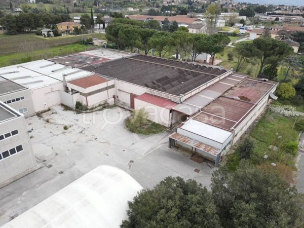 locale commerciale in vendita a Spello