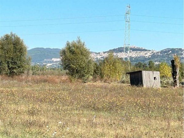terreno agricolo in vendita a Spello