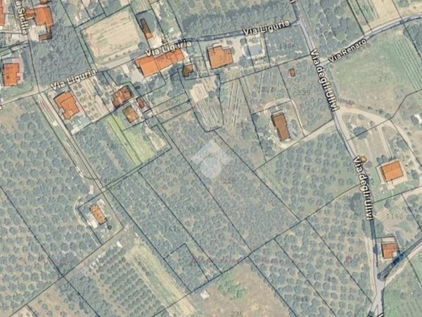 terreno agricolo in vendita a Spello