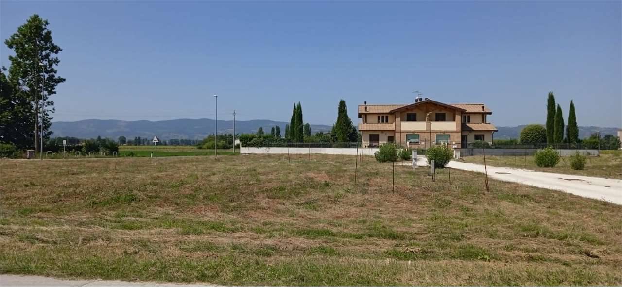 terreno edificabile in vendita a Spello in zona Limiti