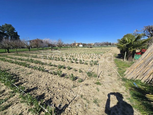 terreno agricolo in vendita a Spello