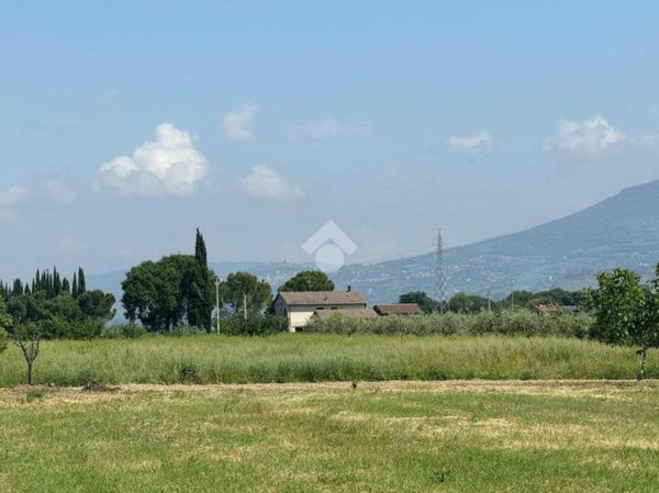 terreno agricolo in vendita a Spello in zona Acquatino