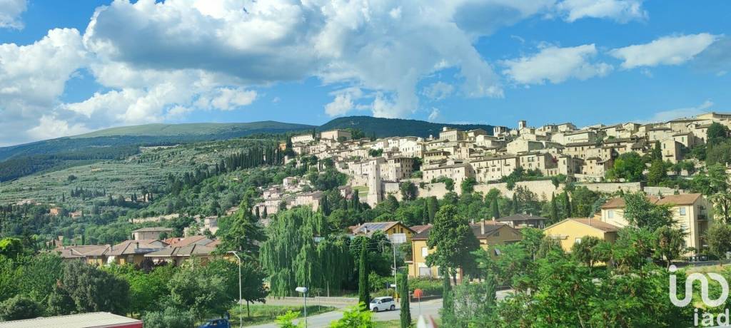 negozio in vendita a Spello