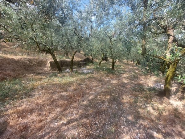 locale di sgombero in vendita a Spello