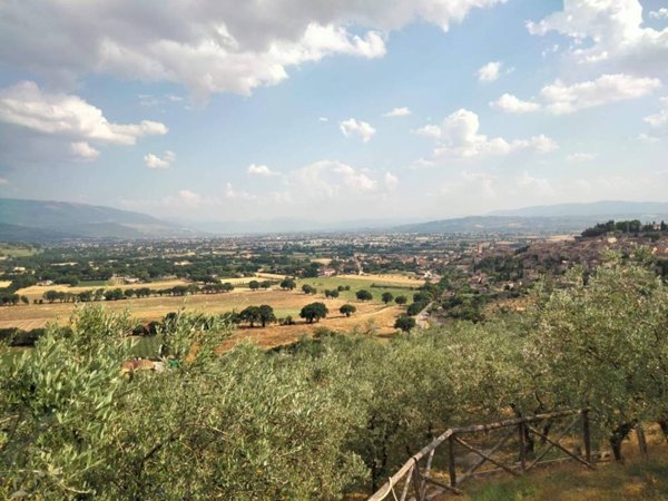 terreno agricolo in vendita a Spello in zona Capitan Loreto