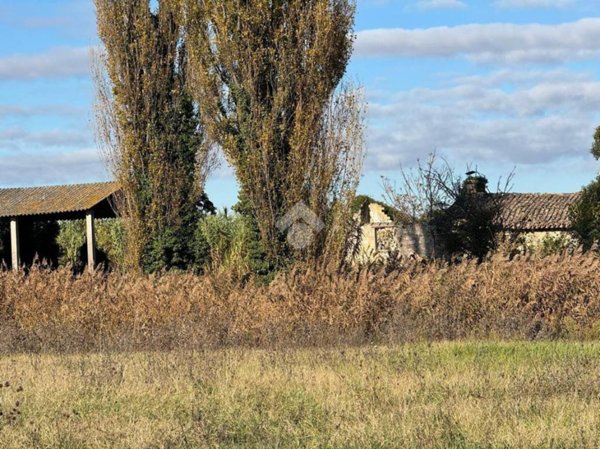 casa indipendente in vendita a Spello